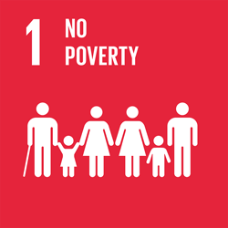 SDG Goal 1 - No Poverty