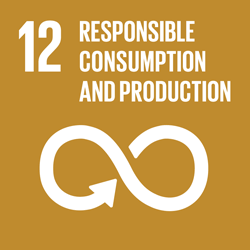 SDG Goal 12 - Responsible Consumption and Production