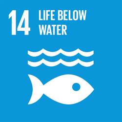 SDG Goal 14 - Life Below Water